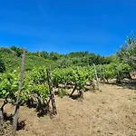 Poderi Lenzi